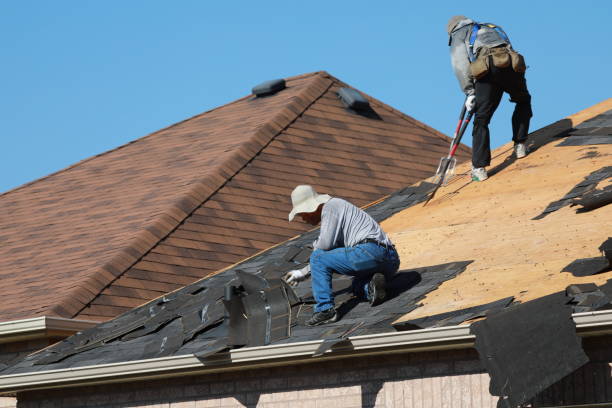 Fast & Reliable Emergency Roof Repairs in Forest Hills, MI